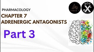 Pharmacology  adrenergic antagonist part  3 المنهج الوزاري الموحد [upl. by Rabbaj812]