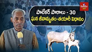 ఘన జీవామృతంతయారీ విధానం  Subhash Palekar Lessons 30  hmtv Agri [upl. by Risan]