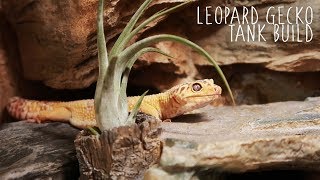 Building A Naturalistic Leopard Gecko Tank [upl. by Emad]