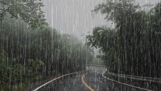 Lluvia Relajante Para Dormir y Relajarse en 3 Minutos  Ruido de Lluvia en el Bosque Brumoso  ASMR [upl. by Edgerton]