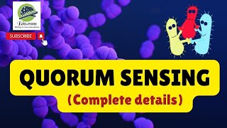 Quorum Sensing in Bacteria  Autoinducers  Biofilm Formation  Biodotcom  biofilm csir icmr [upl. by Bambie704]