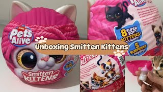 UNBOXING PETS ALIVE SMITTEN KITCHEN unboxing [upl. by Ensoll]