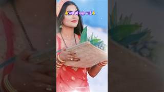 Kashe khare chatya aye maiya sub trending video chat puja ka trending Jay ho Chate maiye [upl. by Neveda925]