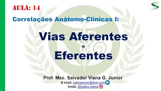 Vias Aferentes e Eferentes [upl. by Dowdell]