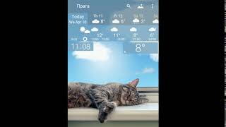 Cat in a cradle New YoWindow Weather app [upl. by Ettegirb]