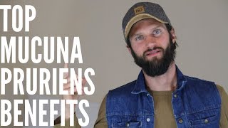 The Top Benefits of Mucuna Pruriens [upl. by Shana]