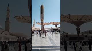 madina monowara beautiful vairalvideo vairalshort shortvairal [upl. by Arah828]