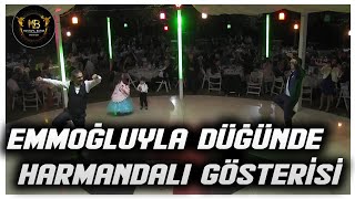 Harmandalı Zeybeği Nasıl OynanırEmmoğullarından Düğünde Harika Harmandalı Zeybeği Bol para atmalı [upl. by Noremak543]