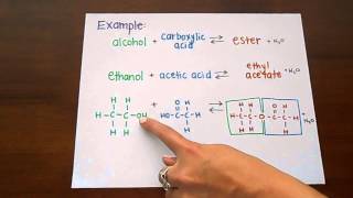 Ester Formation [upl. by Shedd]