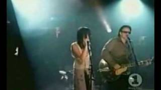 Summer wine  The corrs and Bono with lyrics [upl. by Haerle]