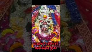 তারাপীঠে কৌশিকী অমাবস্যার পূজো tarapith tara koushikiamavasya pujo [upl. by Ydnam]