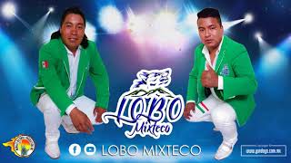 Lobo Mixteco  Homenaje a Mateo Reyes Mix [upl. by Ado991]