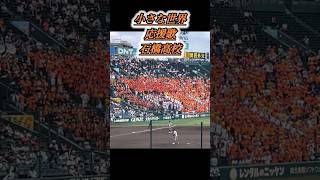 石橋高校栃木大応援甲子園高校野球青森山田☀️エモ [upl. by Meenen]