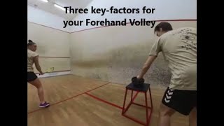 Squash Training Forehand Volley Tips [upl. by Aihsenyt109]