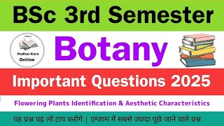 BSc 3rd semester botany most important questions 2025  bsc 2nd year 3rd semester botany 2025 [upl. by Yelkao]