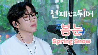 10CM  십센치  선재 업고 튀어 OST 봄 눈  Spring Snow [upl. by Slaby]