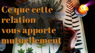 Ce que cette relation vous apporte mutuellement 3 choix  intemporel [upl. by Aneeb]