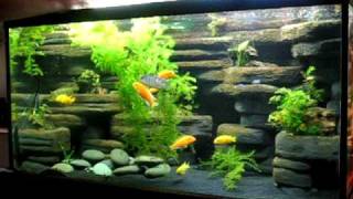 DIY aquarium background  90 gallon made from styrofoam and cement [upl. by Zhang]