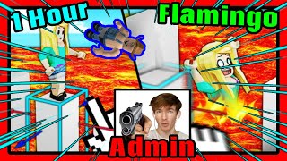 1 Hour of Flamingo Roblox Admin why not [upl. by Eiclud]