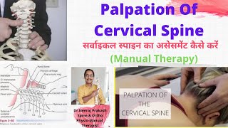 Palpation Of Cervical Spine Palpation of spine landmarkhow to palpate spinePhysio Manual Rehab [upl. by Nylloc]