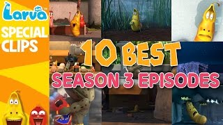 Official Best Larva Episodes  Season 3  Top 10 [upl. by Hitt]