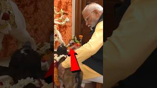 ये काम करती है मोदीजी की पत्नी Modijis wife does this work shortvideo modiji [upl. by Bergess]