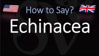 How to Pronounce Echinacea CORRECTLY [upl. by Sink178]