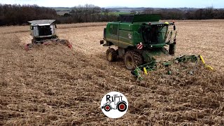 MAIS GRAIN 2023 APRES LA TEMPETE CIARAN CONDITIONS DIFFICILES ETA DE LELORN CORN HARVEST [upl. by Sletten905]