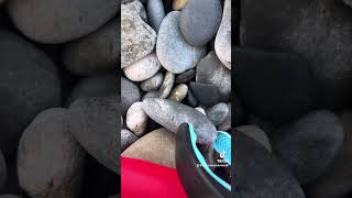 SILLY SENIOR…Collecting ROCKS on the Beach [upl. by Zavala188]