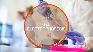 Genetics in 60 seconds Gel Electrophoresis [upl. by Georgy]