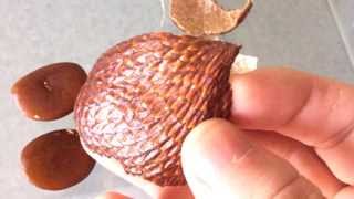 Snake Skin Fruit [upl. by Magocsi]