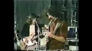 Frank Zappa  Stockholm 1973 08 21 full concert [upl. by Eckardt]