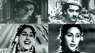 Superhit Songs of Anarkali  Pradeep Kumar Bina Rai  Classic Bollywood Movie [upl. by Brubaker]