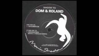 Dom and Roland  Imagination Kemal  Rob Data remix [upl. by Sugihara847]