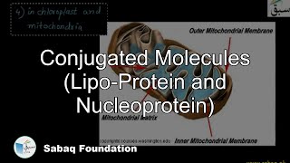 Conjugated Molecules LipoProtein Nucleoprotein Biology Lecture  Sabaqpk [upl. by Goran]