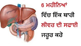 6 ਮਹੀਨਿਆਂ ਵਿੱਚ ਇੱਕ ਬਾਰੀ ਲੀਵਰ ਦੀ ਸਫਾਈ ਜਰੂਰ ਕਰੋ liver Detoxifier Juice [upl. by Alecram]