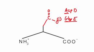 Memorize the 20 amino acids in 20 minutes Part 2 [upl. by Mathilde802]