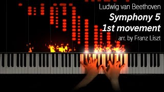 BeethovenLiszt  Symphony 5 1st Movement 25k subs special [upl. by Aihsyn682]