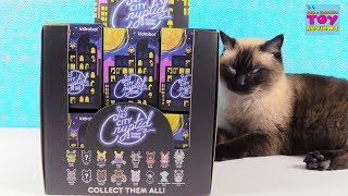 City Cryptid Dunny Series Kidrobot Full Box Unboxing Figure Review  PSToyReviews [upl. by Julianna]