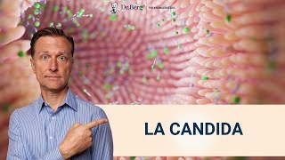 3 pasos para liberarte de La Candida para siempre Dr Eric Berg Español [upl. by Larrie]