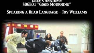 Greys Anatomy S06E01  Speaking a Dead Language by Joy Williams [upl. by Acimaj21]