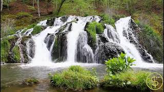 Som de cachoeira  Cachoeira Relaxante para relaxar e dormir  Acalme sua Mente 1 hora de vídeo [upl. by Brunhild807]