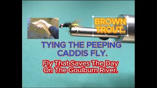 Tying the Peeping Caddis Saved the Day Fly Fishing on the Goulburn River Fishing Saves River [upl. by Griffie]