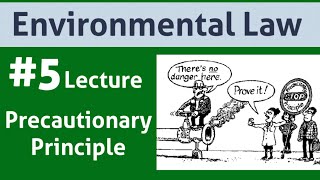 Environmental Law Lecture 5Precautionary Principle [upl. by Ashelman]