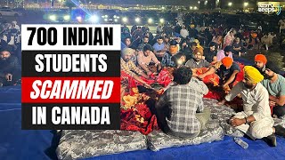 Why 700 Indian Students Could Be Deported From Canada  NDTV Beeps [upl. by Bunde]