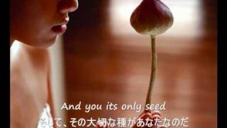 The Rose  Bette Midler 歌詞字幕）English amp Japanese Lyrics [upl. by Chiarra]