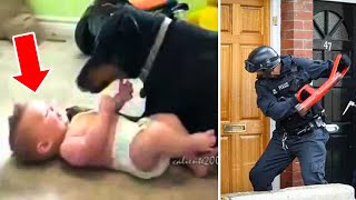 Dog refuses to let a baby sleep alone parents discover the reason And call 911 [upl. by Gardel]