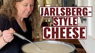 JarlsbergStyle Cheese  How To Make [upl. by Allerus]