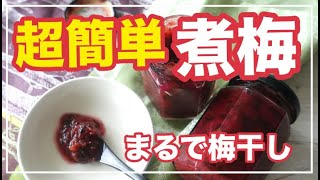 煮るだけでまるで梅干し！！朝簡単な梅肉を料理家藤野幸子がアップしました。how to make plum paste umeboshi [upl. by Htidirrem]