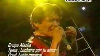 Cumbia Sureña  Grupo Alaska  Luchare por tu amor [upl. by Fonda]